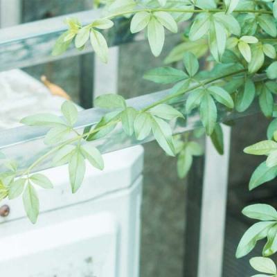 买电竞比赛输赢的app